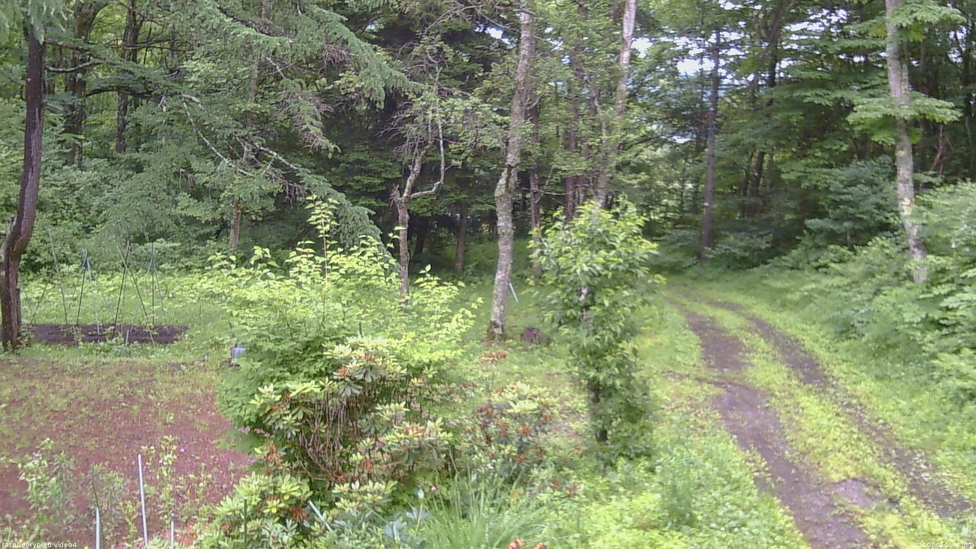 長野県菅平高原 ゆたか山荘 坂上 2026/07/02 08:45