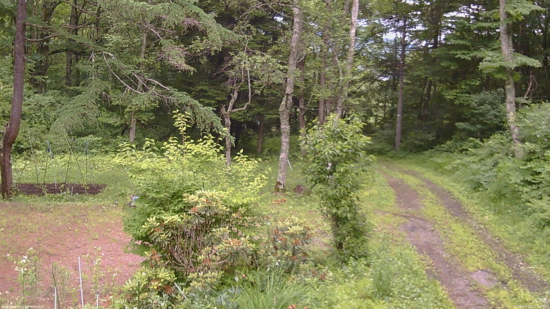 長野県菅平高原 ゆたか山荘 坂上 2026/07/02 12:30