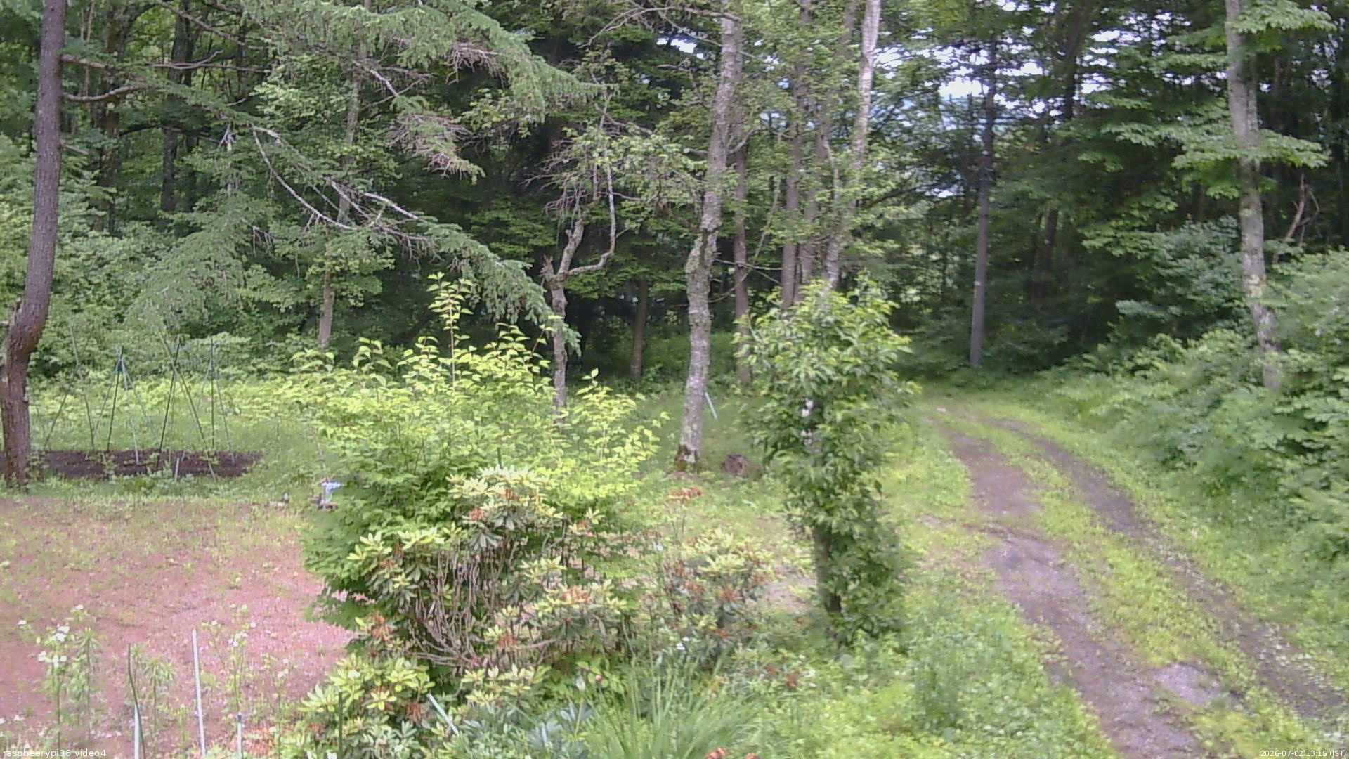 長野県菅平高原 ゆたか山荘 坂上 2026/07/02 13:15
