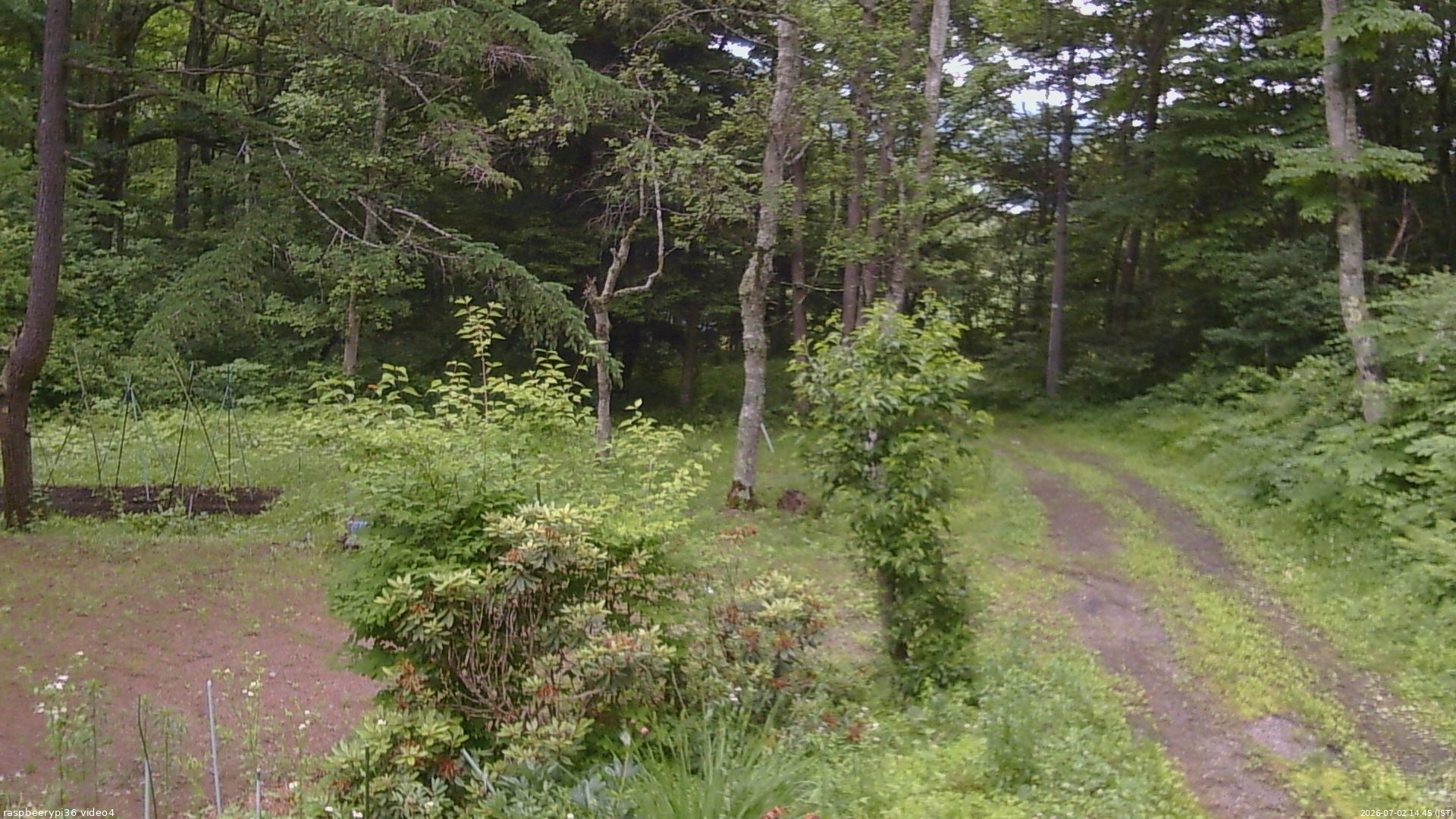 長野県菅平高原 ゆたか山荘 坂上 2026/07/02 14:45