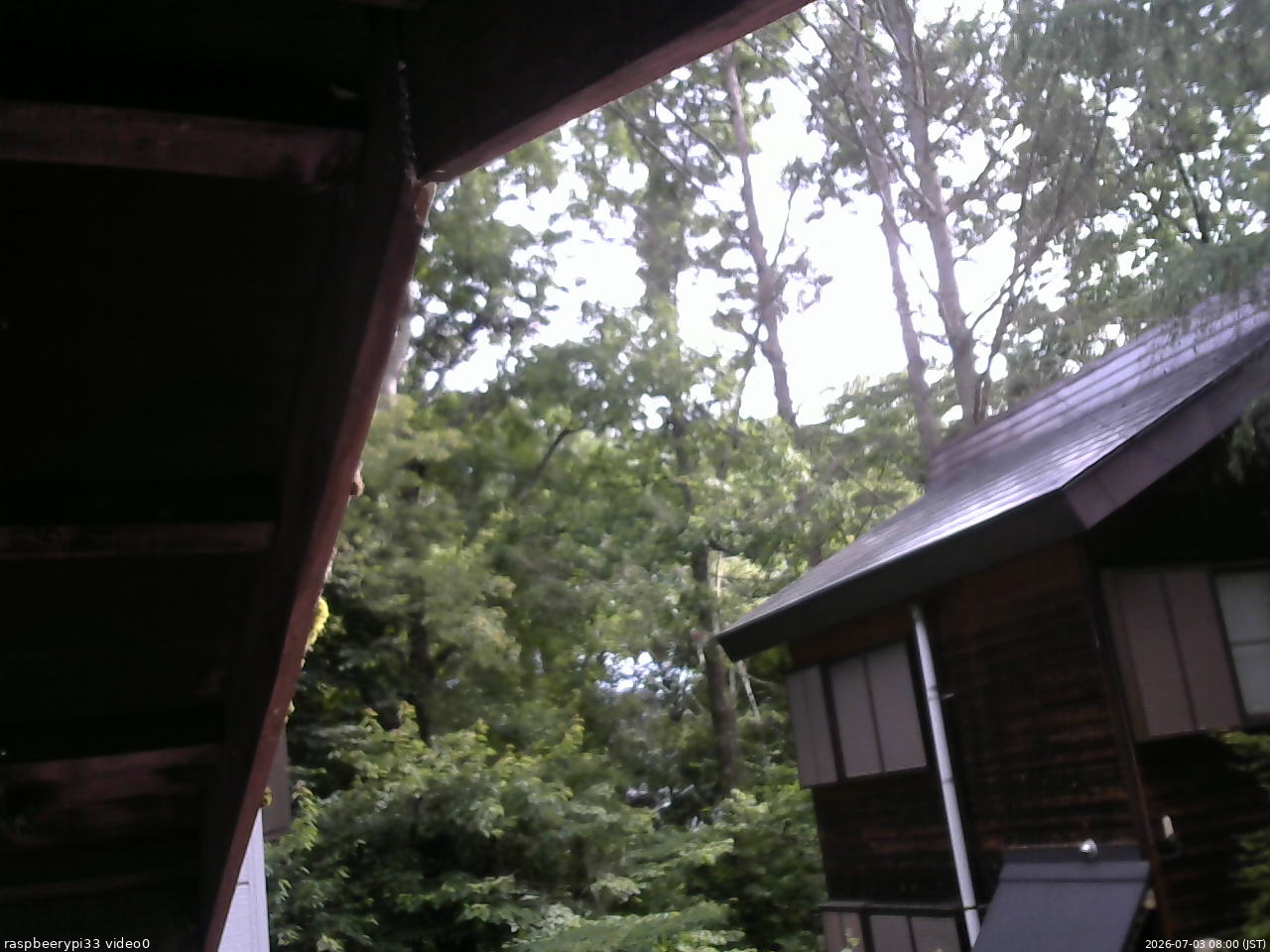 長野県菅平高原 ゆたか山荘 北側 2026/07/03 08:00