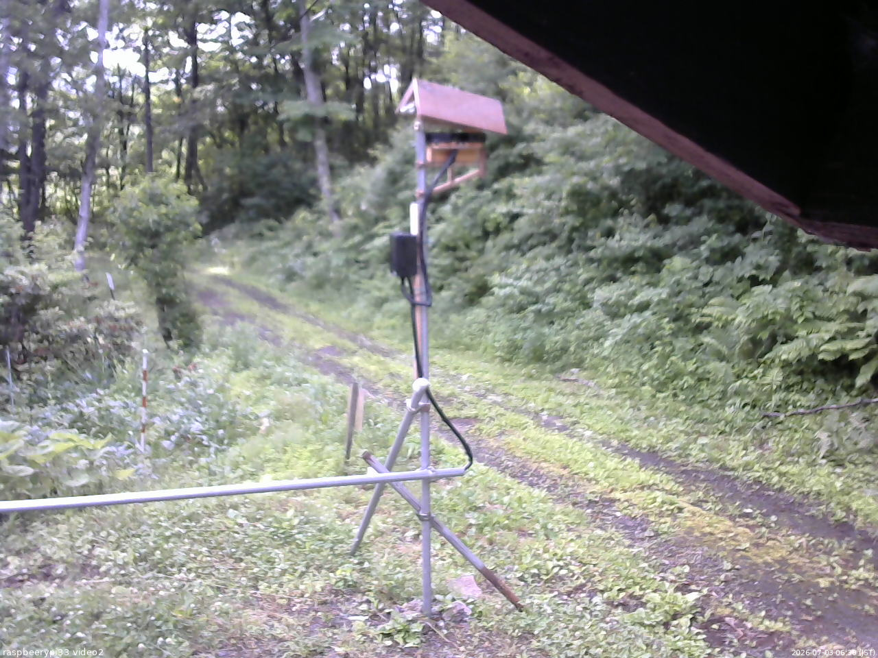 長野県菅平高原 ゆたか山荘 南側 2026/07/03 06:30