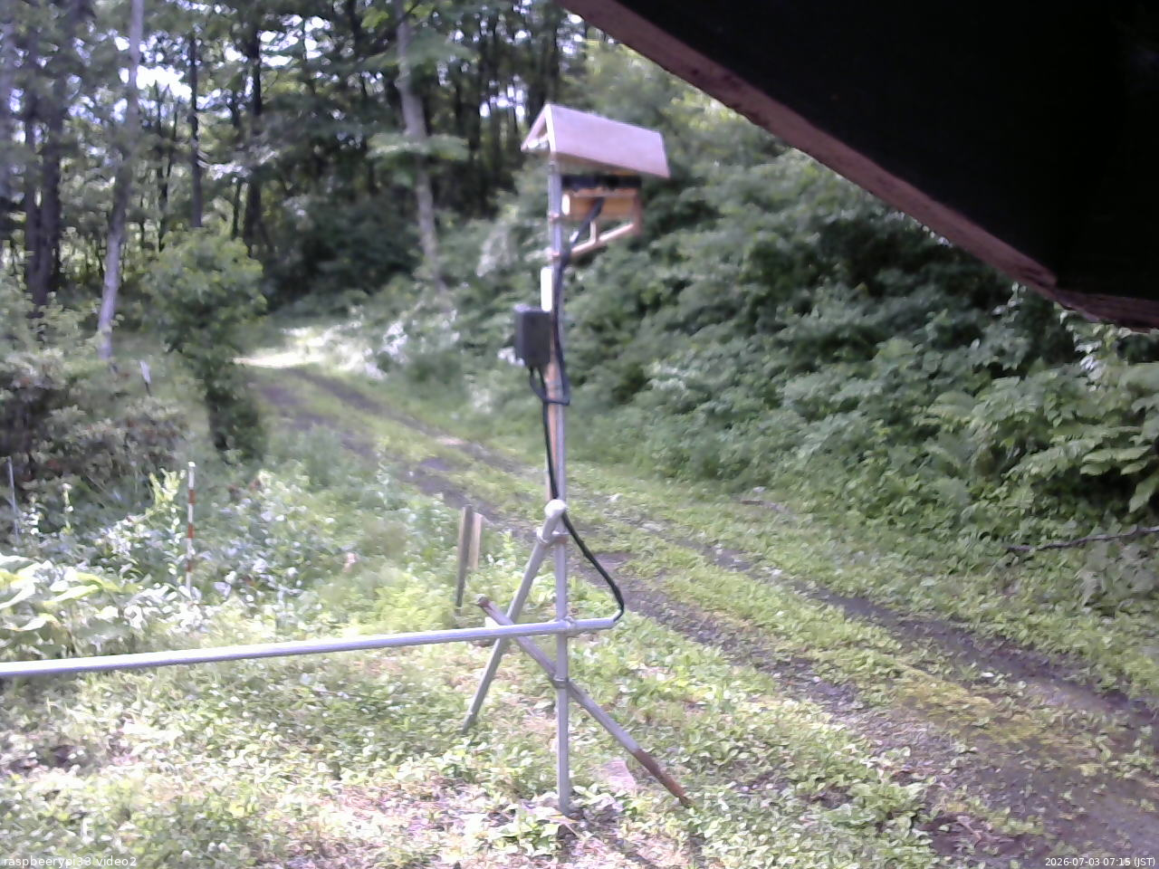 長野県菅平高原 ゆたか山荘 南側 2026/07/03 07:15