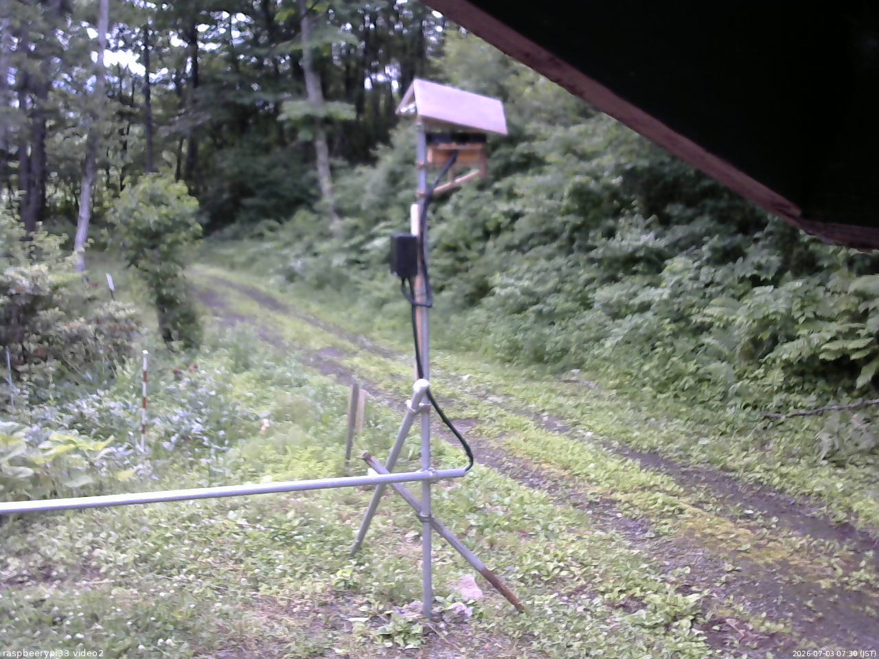 長野県菅平高原 ゆたか山荘 南側 2026/07/03 07:30