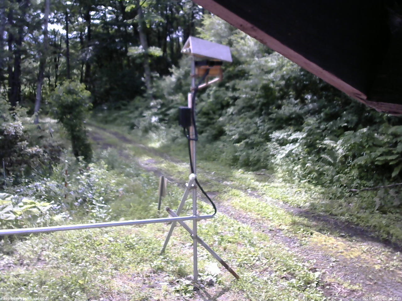 長野県菅平高原 ゆたか山荘 南側 2026/07/03 08:30