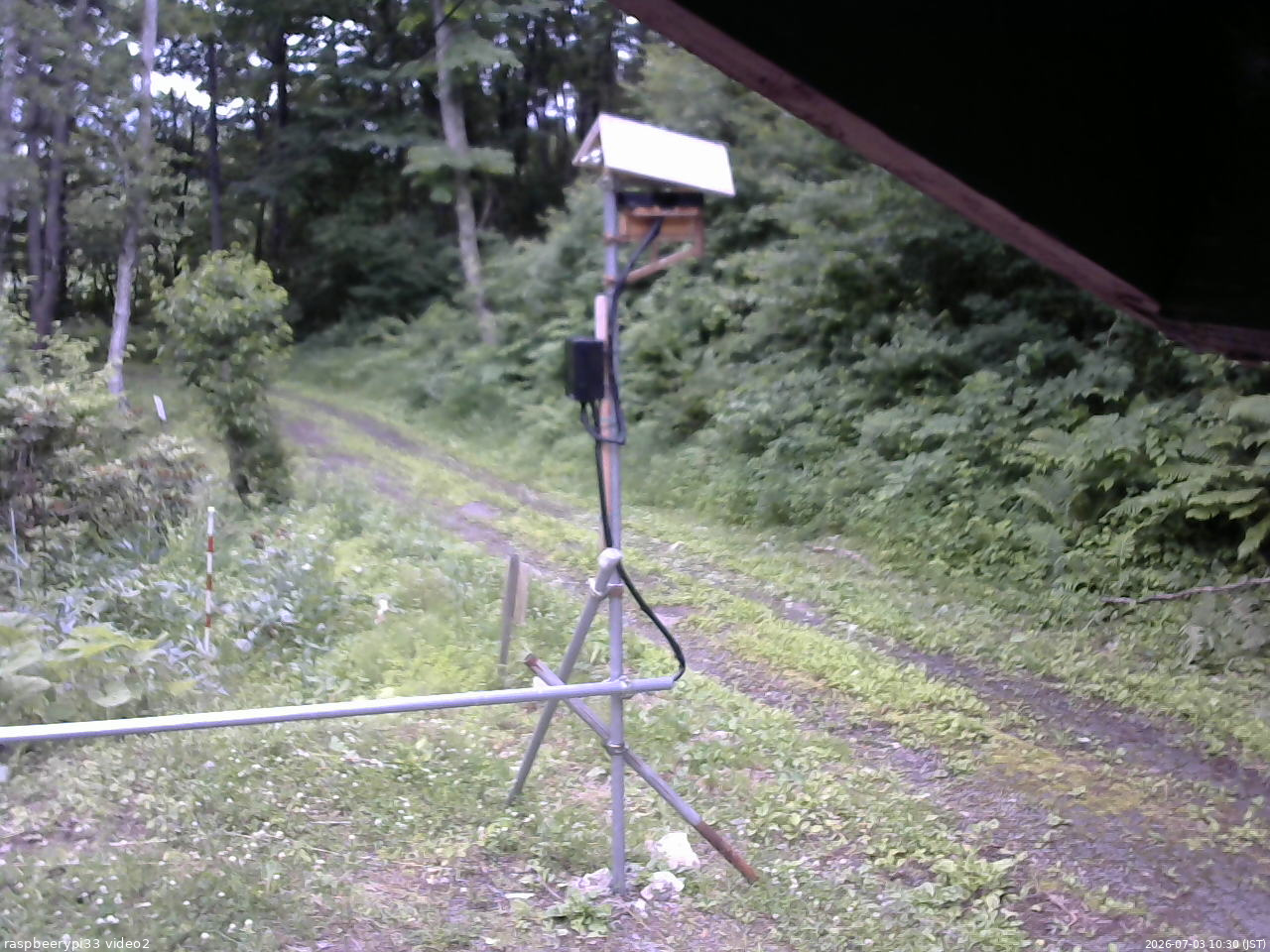 長野県菅平高原 ゆたか山荘 南側 2026/07/03 10:30