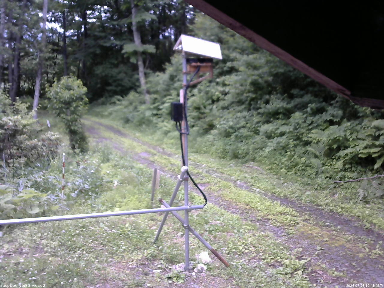 長野県菅平高原 ゆたか山荘 南側 2026/07/03 10:45