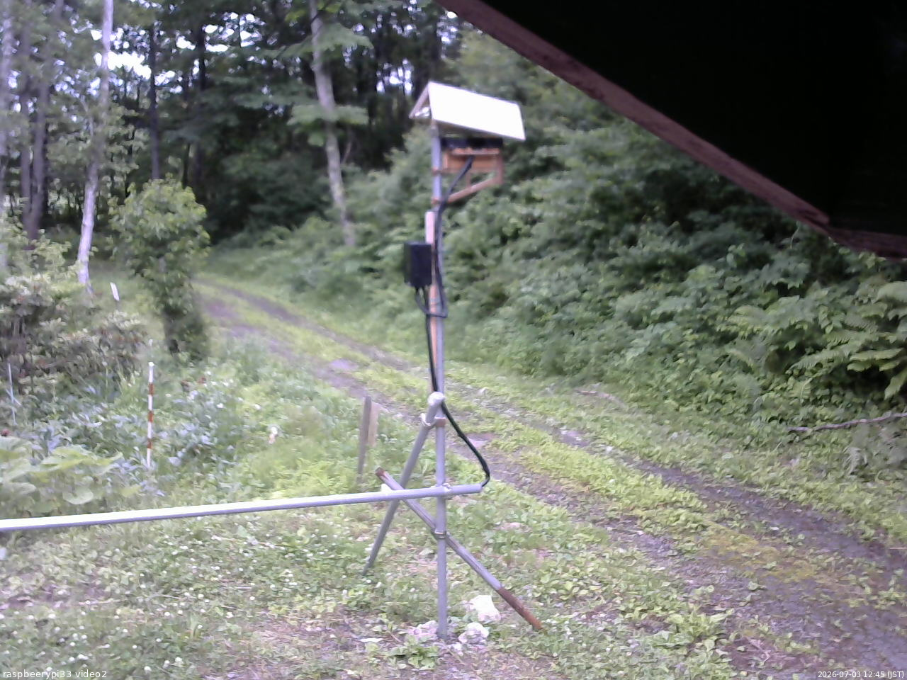 長野県菅平高原 ゆたか山荘 南側 2026/07/03 12:45