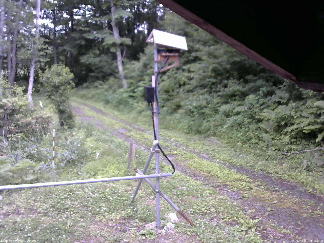 長野県菅平高原 ゆたか山荘 南側 2026/07/03 13:00