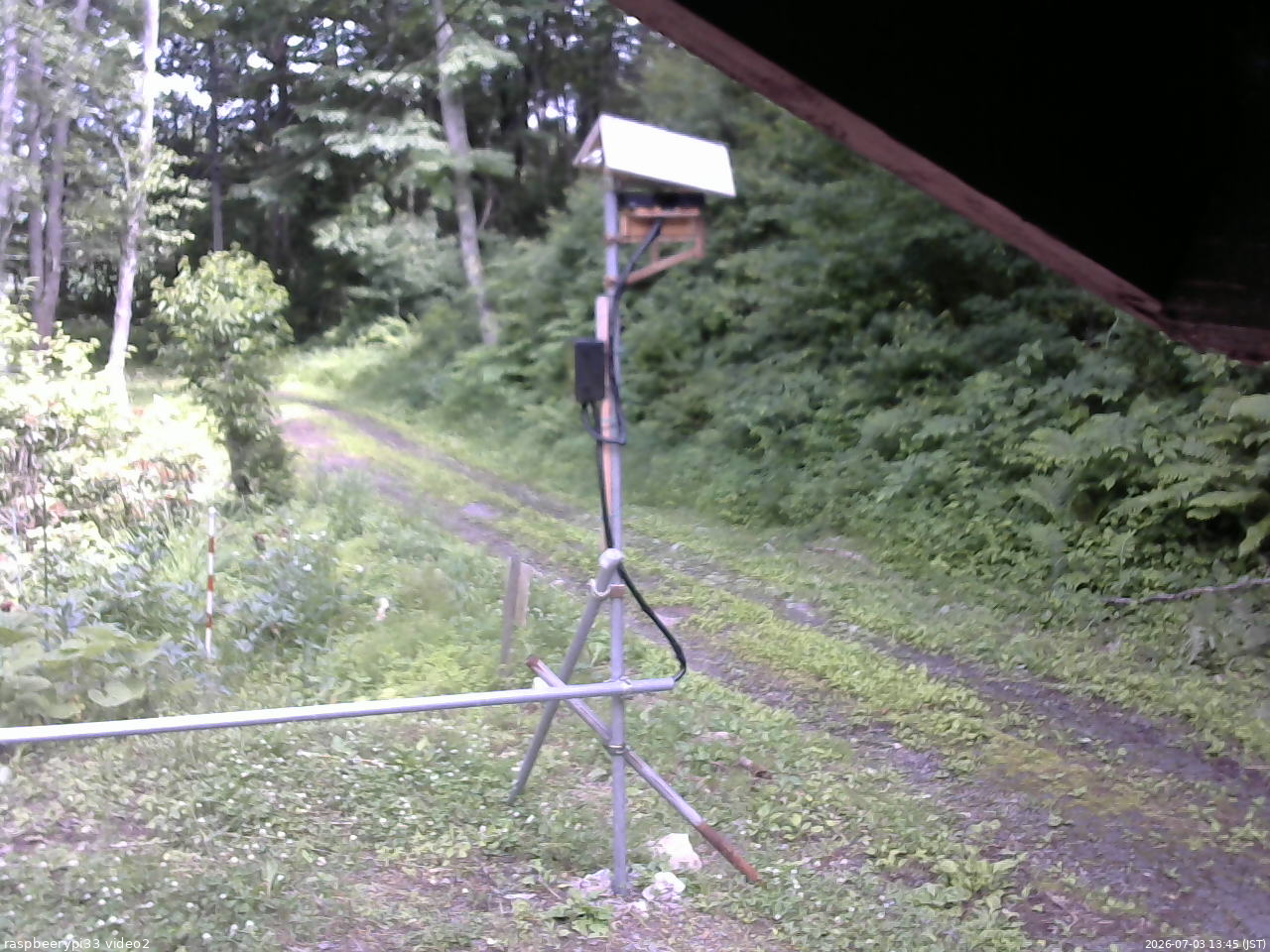 長野県菅平高原 ゆたか山荘 南側 2026/07/03 13:45