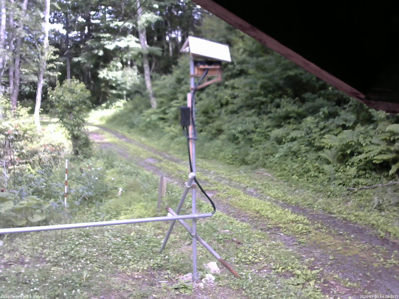 長野県菅平高原 ゆたか山荘 南側 2026/07/03 14:00