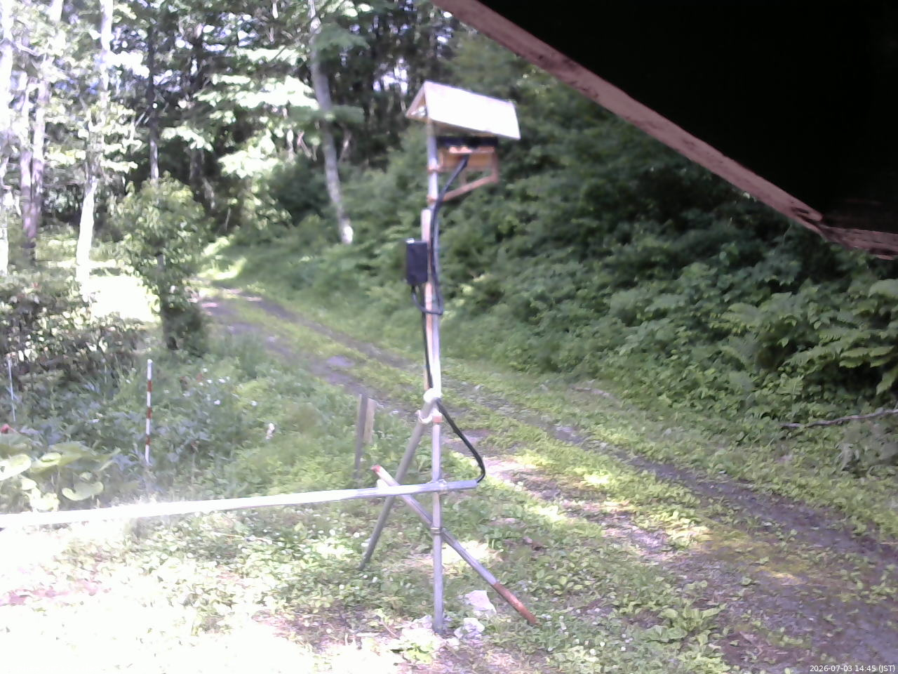 長野県菅平高原 ゆたか山荘 南側 2026/07/03 14:45