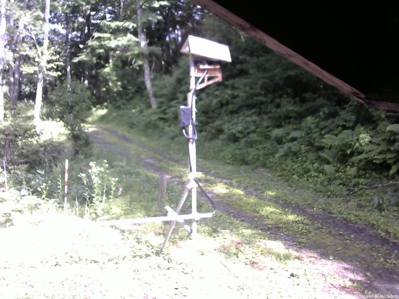長野県菅平高原 ゆたか山荘 南側 2026/07/03 15:15