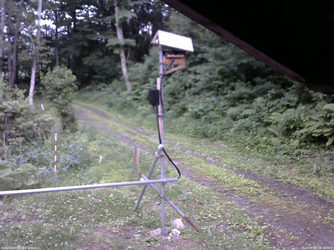 長野県菅平高原 ゆたか山荘 南側 2026/07/03 18:30