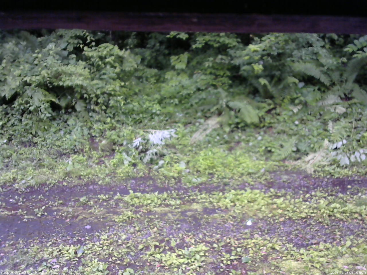 長野県菅平高原 ゆたか山荘 東側(坂下) 2026/07/03 05:15