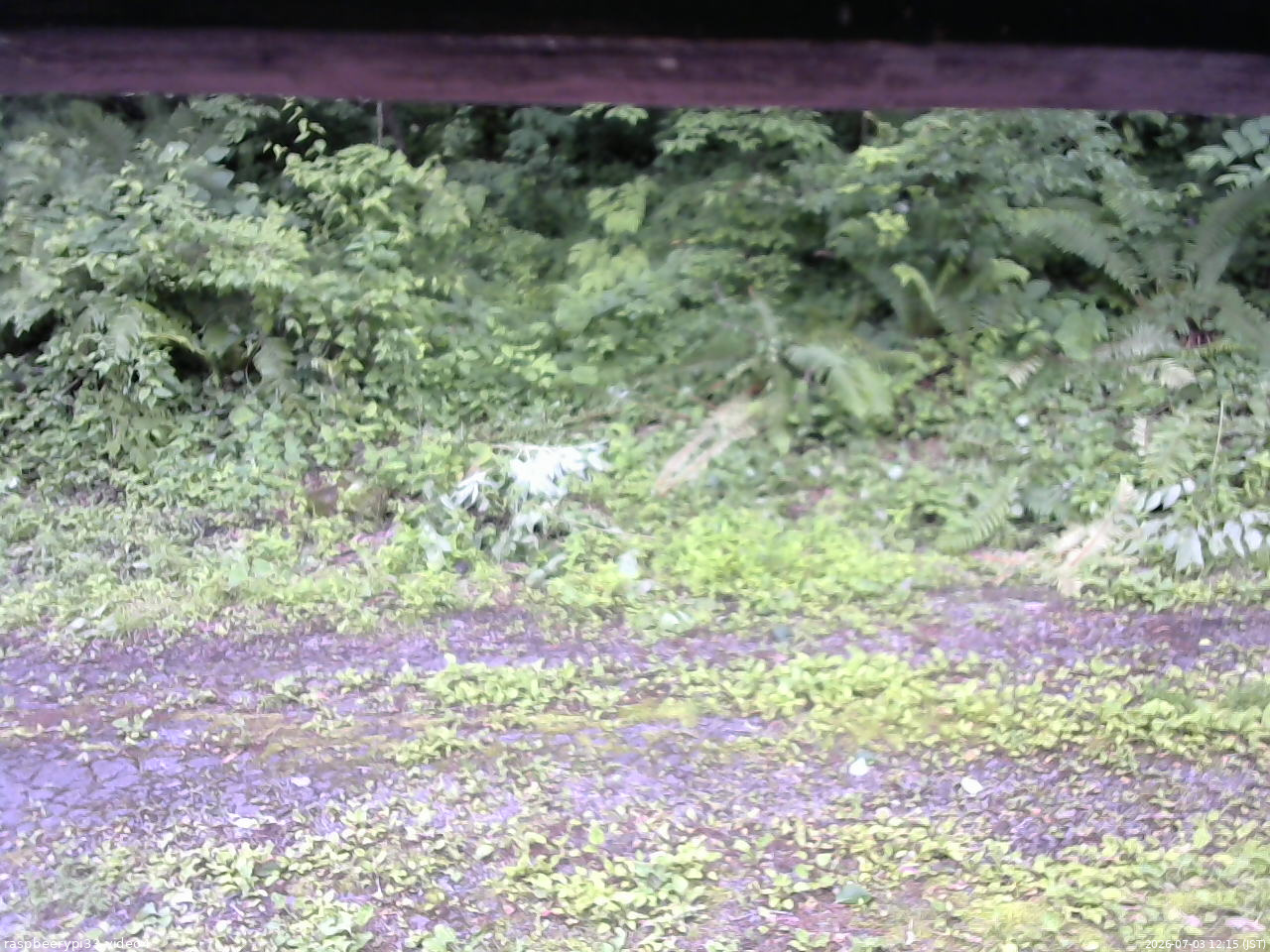 長野県菅平高原 ゆたか山荘 東側(坂下) 2026/07/03 12:15