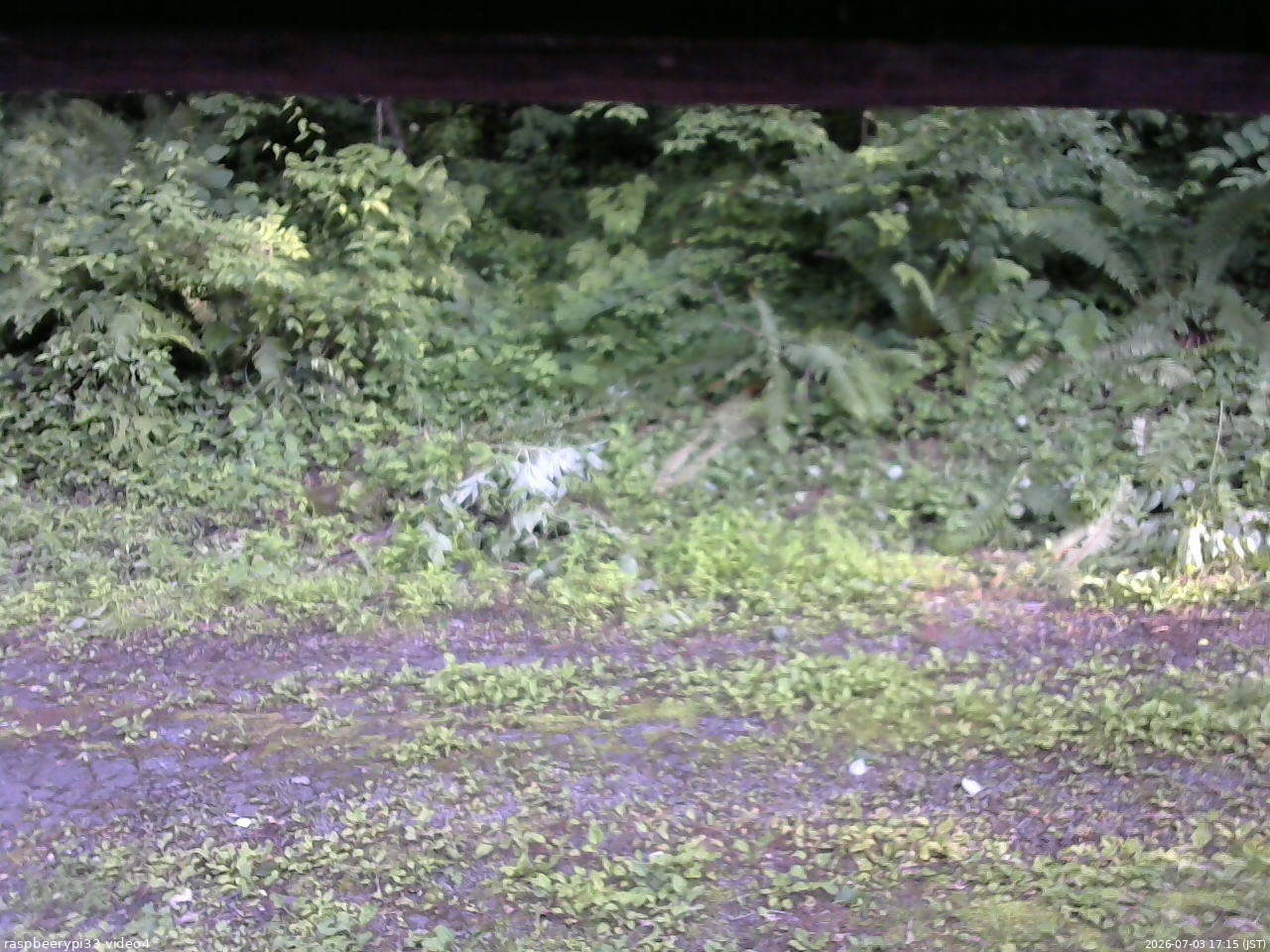 長野県菅平高原 ゆたか山荘 東側(坂下) 2026/07/03 17:15