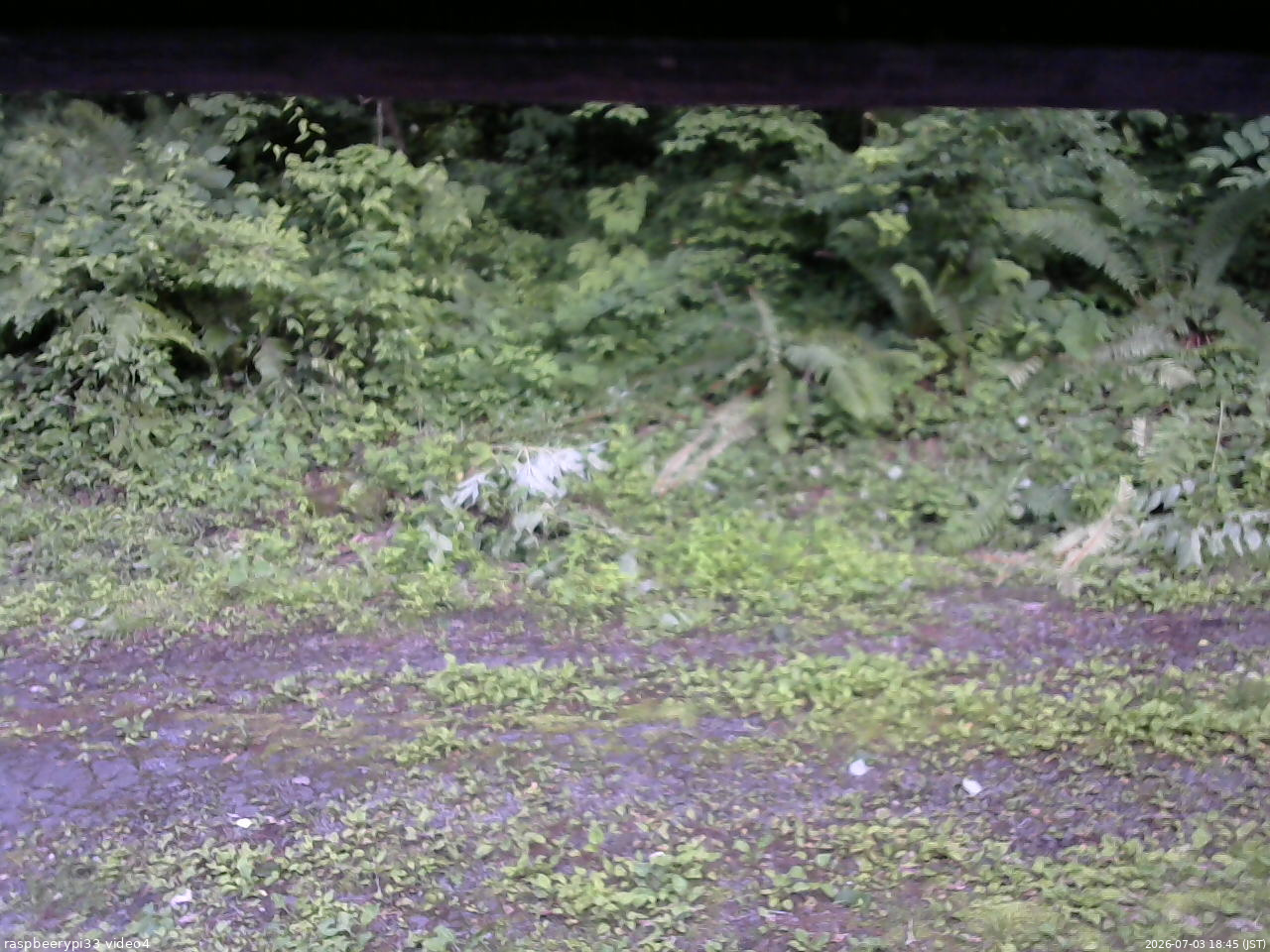 長野県菅平高原 ゆたか山荘 東側(坂下) 2026/07/03 18:45