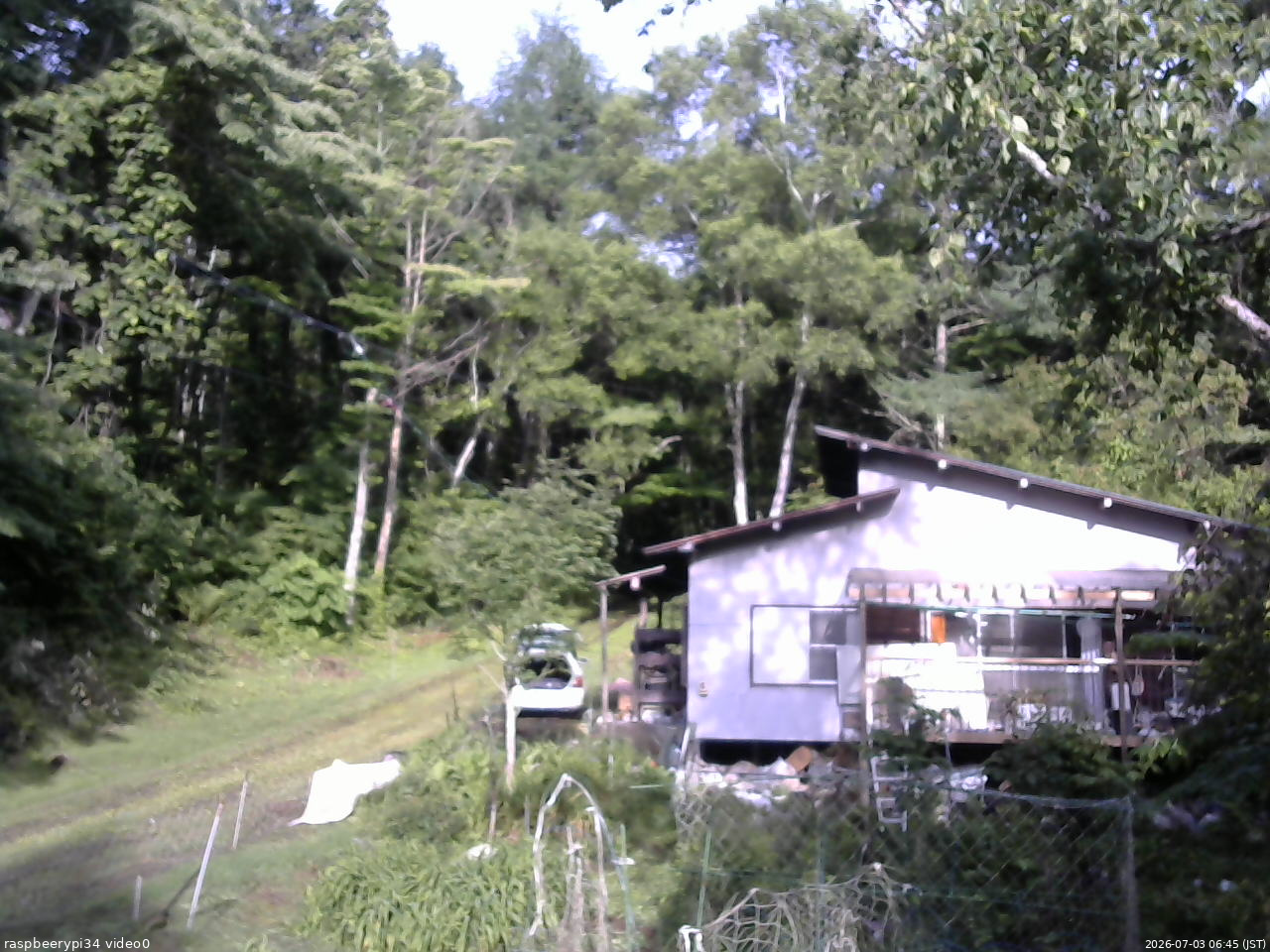 長野県菅平高原 ゆたか山荘 西側(坂上) 2026/07/03 06:45