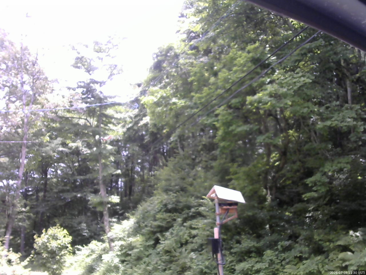 長野県菅平高原 ゆたか山荘 温度計 2026/07/03 11:30