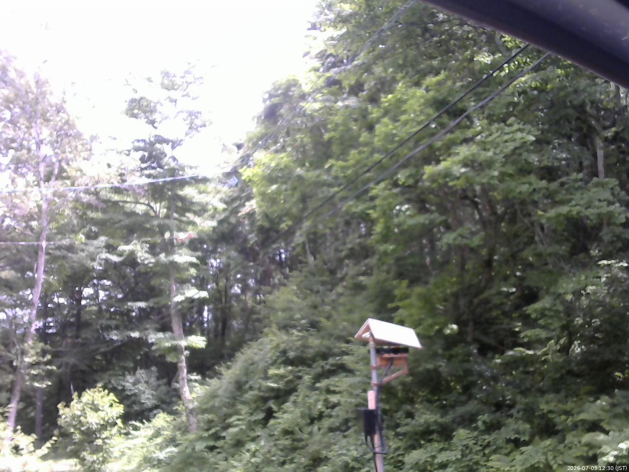 長野県菅平高原 ゆたか山荘 温度計 2026/07/03 12:30