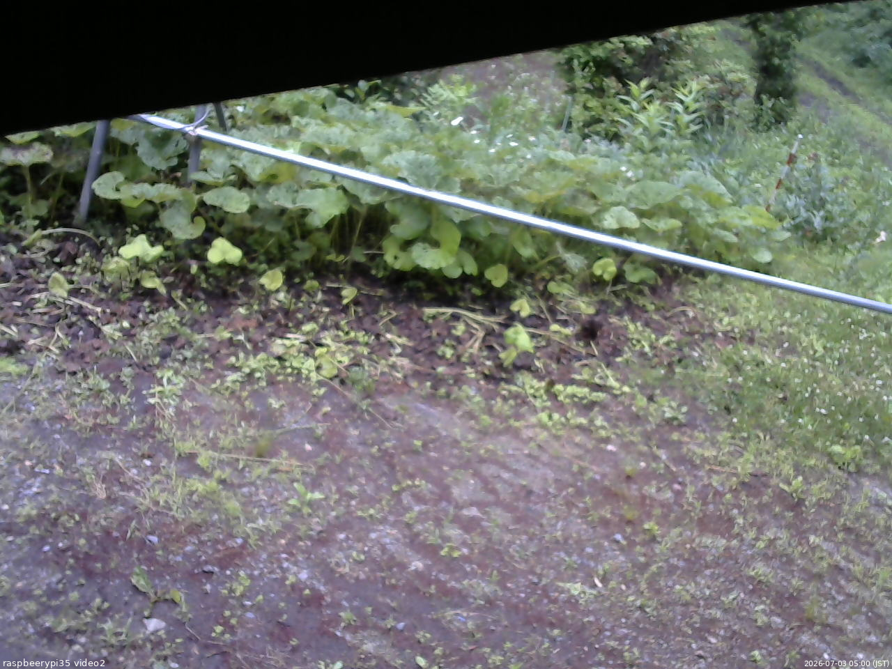 長野県菅平高原 ゆたか山荘 駐車場 2026/07/03 05:00