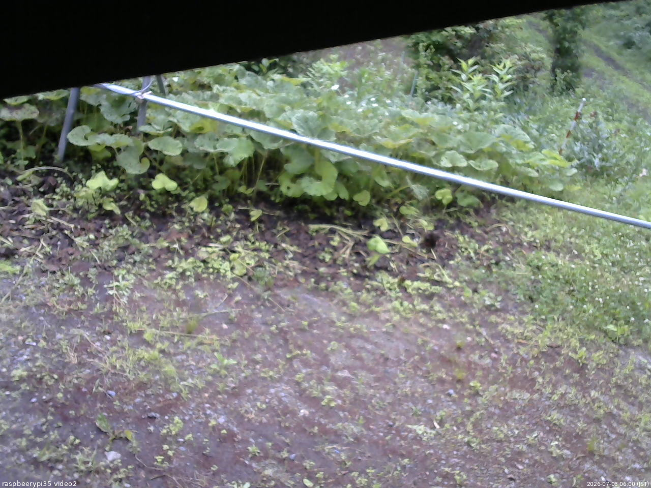 長野県菅平高原 ゆたか山荘 駐車場 2026/07/03 06:00