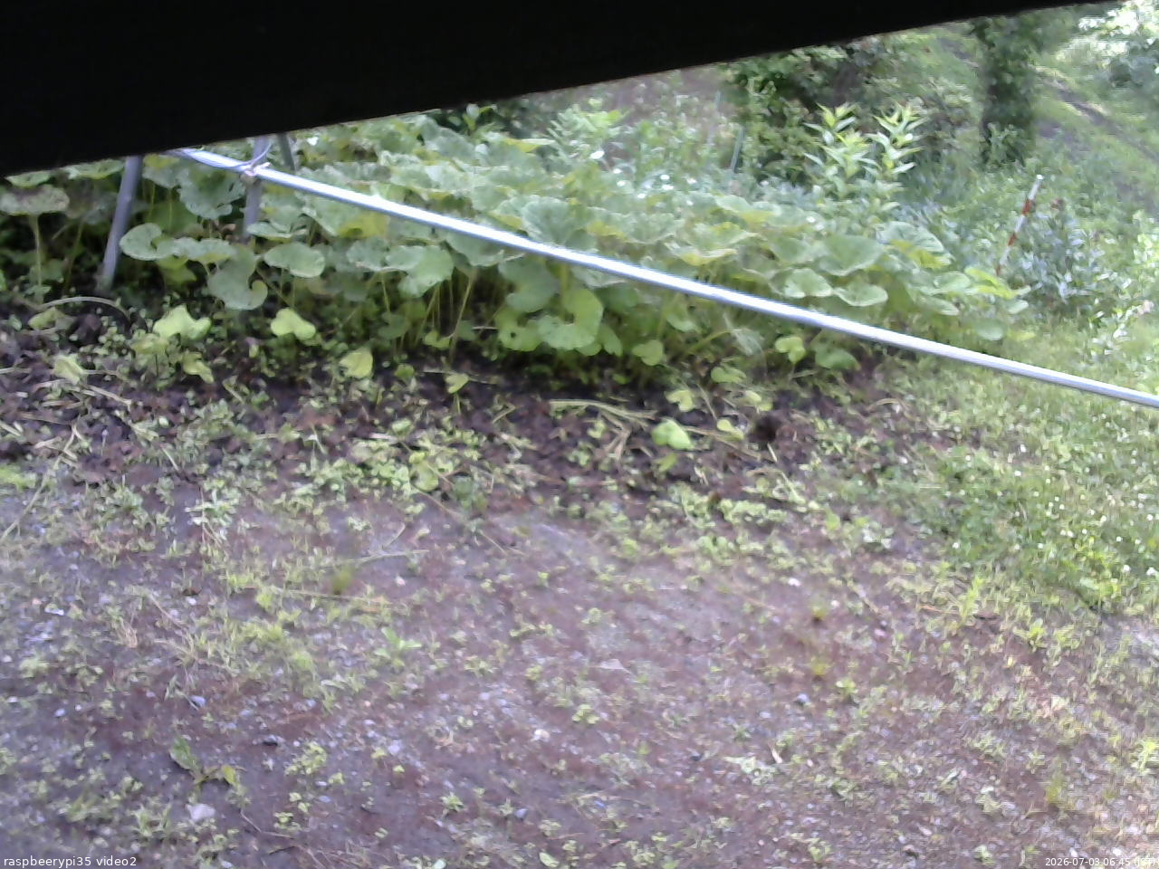 長野県菅平高原 ゆたか山荘 駐車場 2026/07/03 06:45