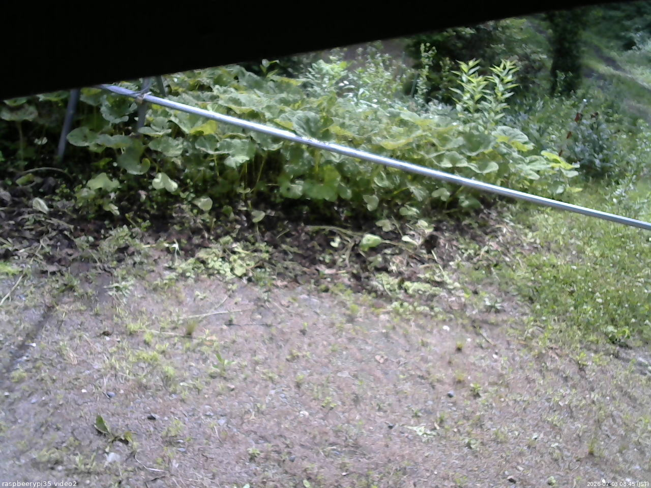 長野県菅平高原 ゆたか山荘 駐車場 2026/07/03 08:45