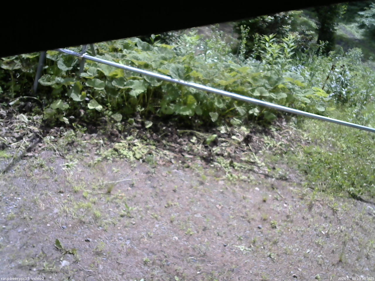 長野県菅平高原 ゆたか山荘 駐車場 2026/07/03 09:30