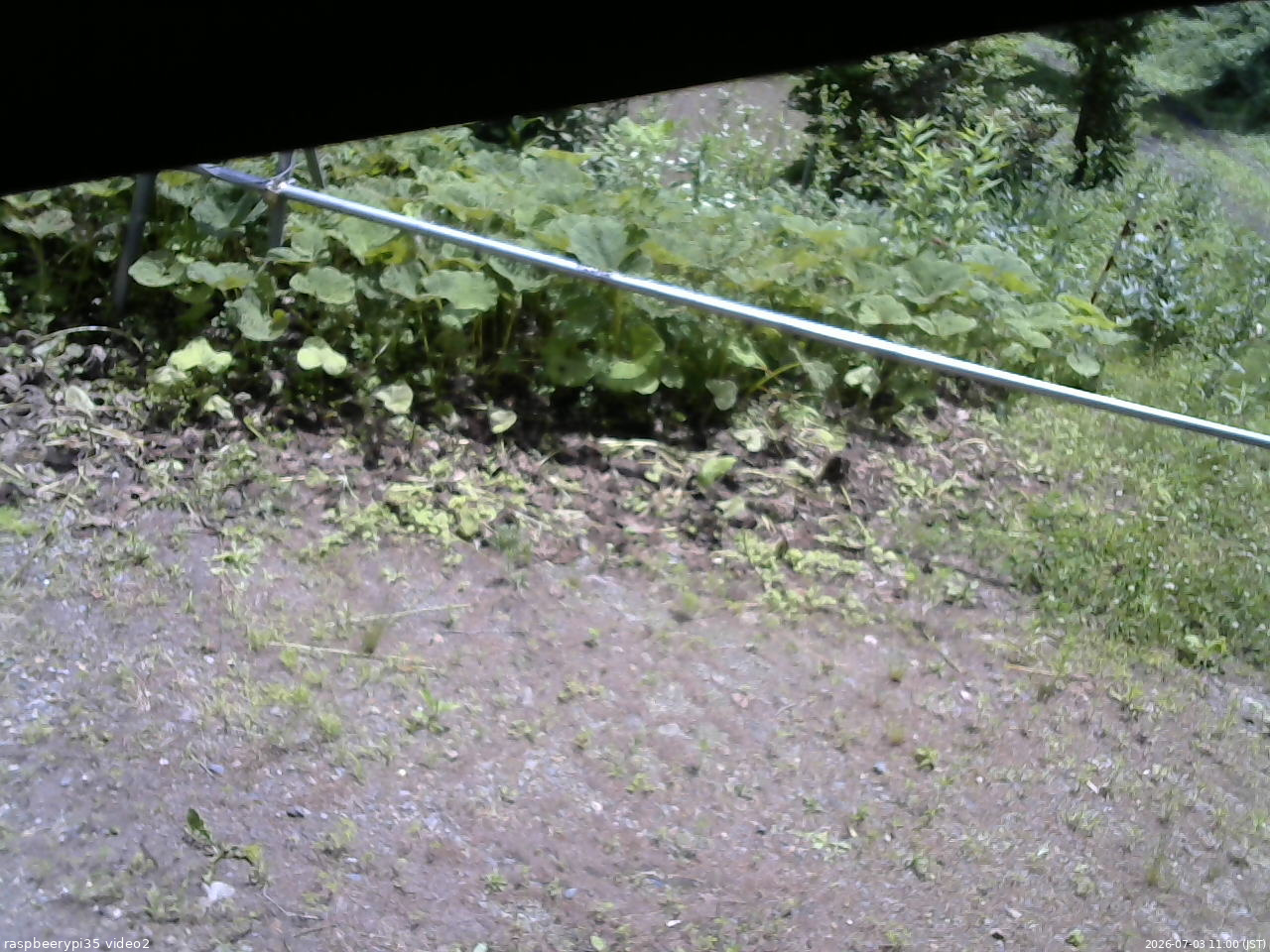 長野県菅平高原 ゆたか山荘 駐車場 2026/07/03 11:00