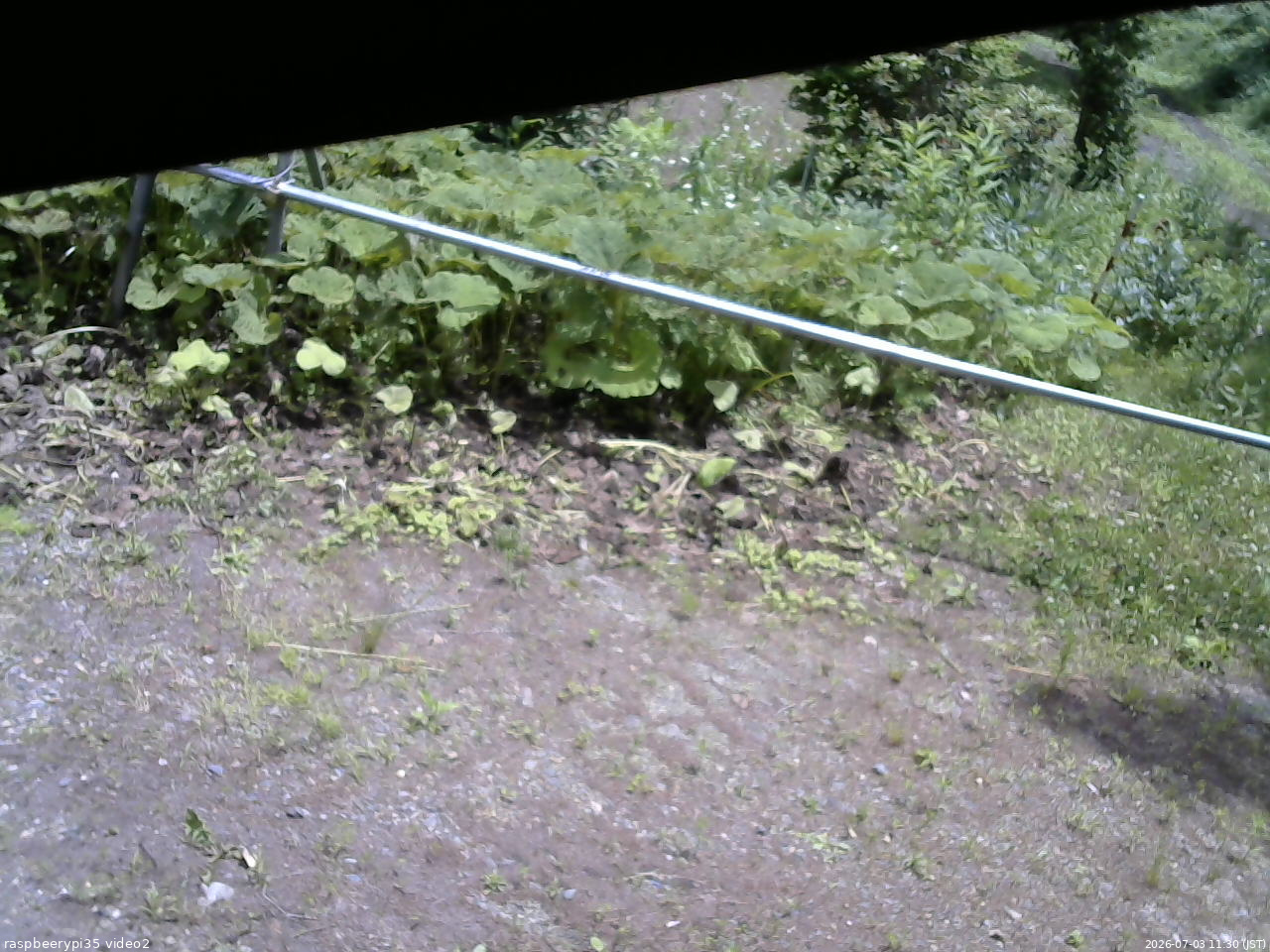 長野県菅平高原 ゆたか山荘 駐車場 2026/07/03 11:30