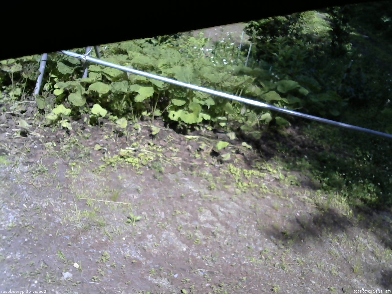 長野県菅平高原 ゆたか山荘 駐車場 2026/07/03 14:15