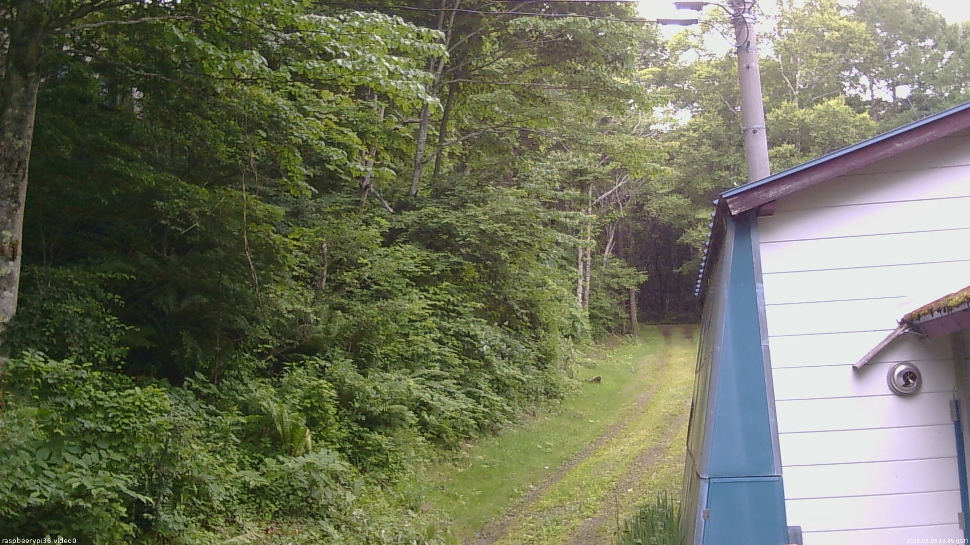 長野県菅平高原 ゆたか山荘 ゆたか山荘 2026/07/03 12:45
