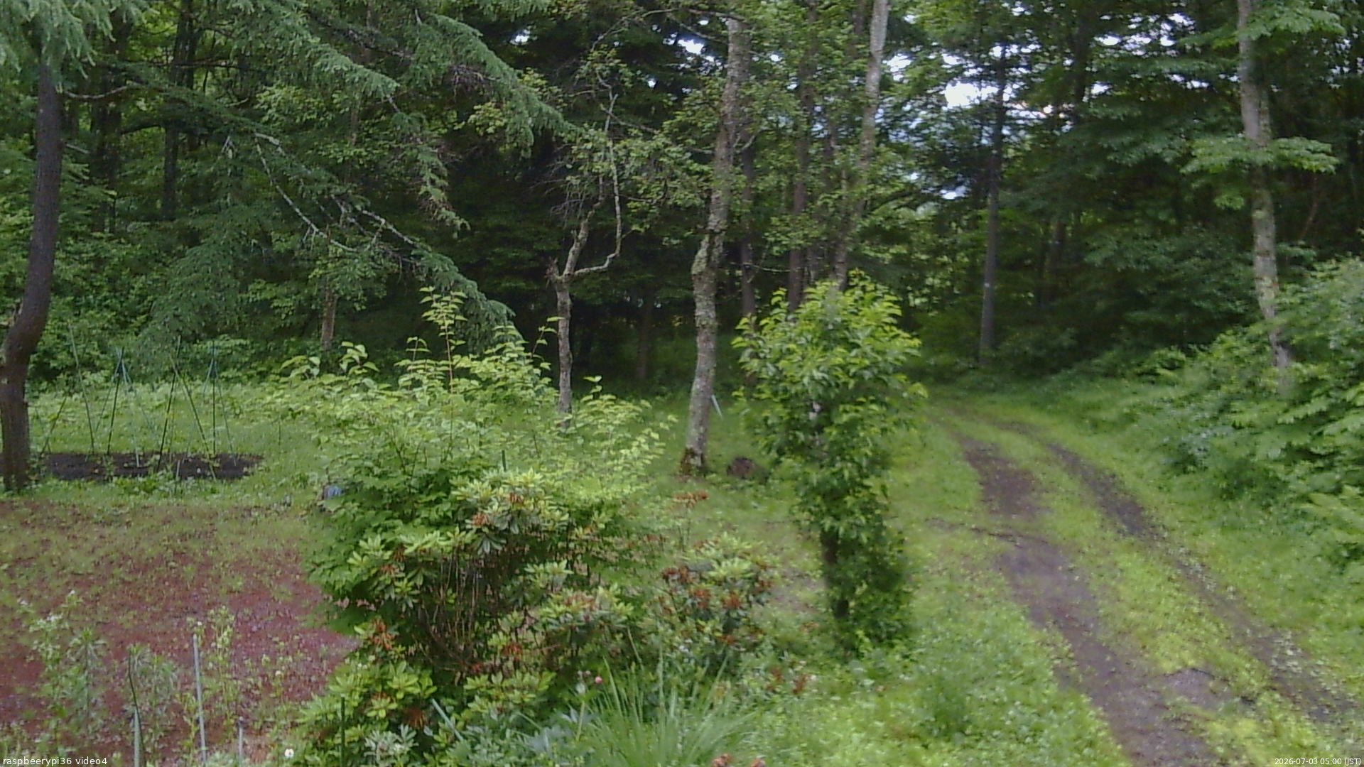 長野県菅平高原 ゆたか山荘 坂上 2026/07/03 05:00