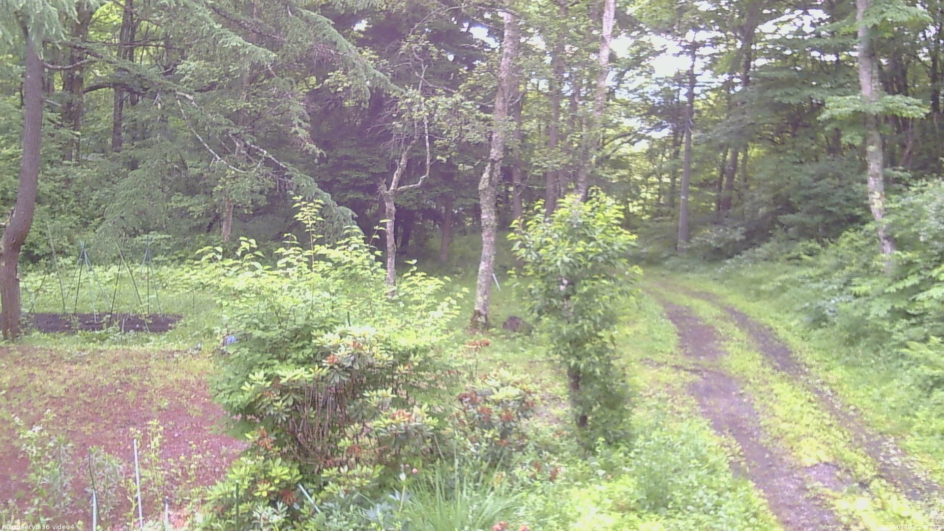 長野県菅平高原 ゆたか山荘 坂上 2026/07/03 05:45