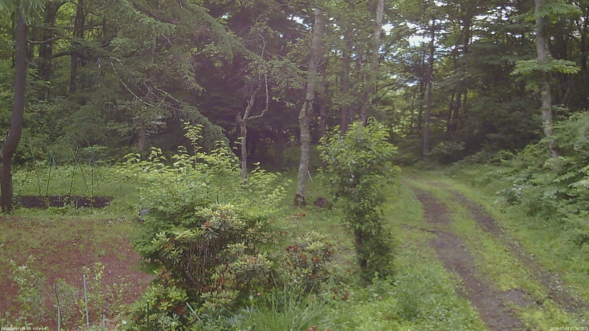 長野県菅平高原 ゆたか山荘 坂上 2026/07/03 07:30