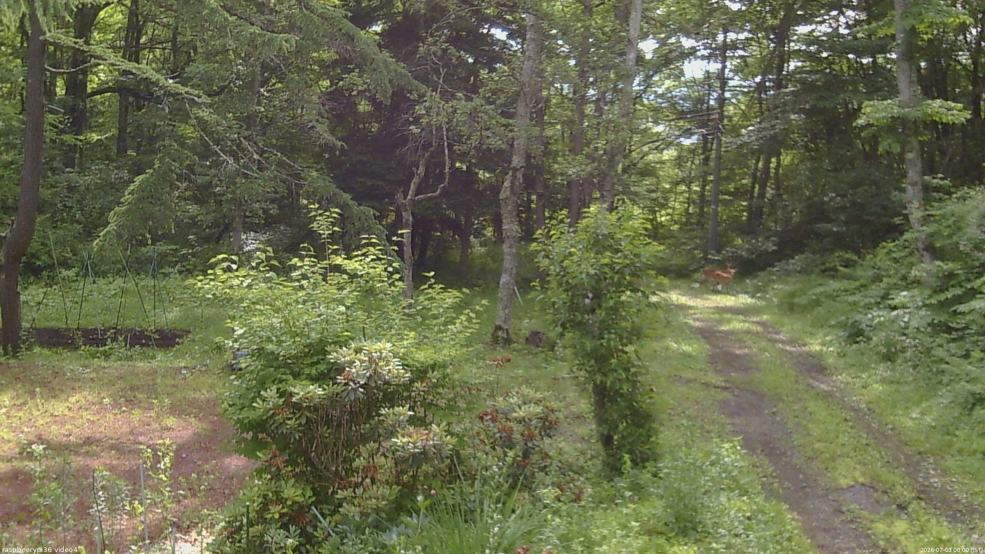 長野県菅平高原 ゆたか山荘 坂上 2026/07/03 08:00