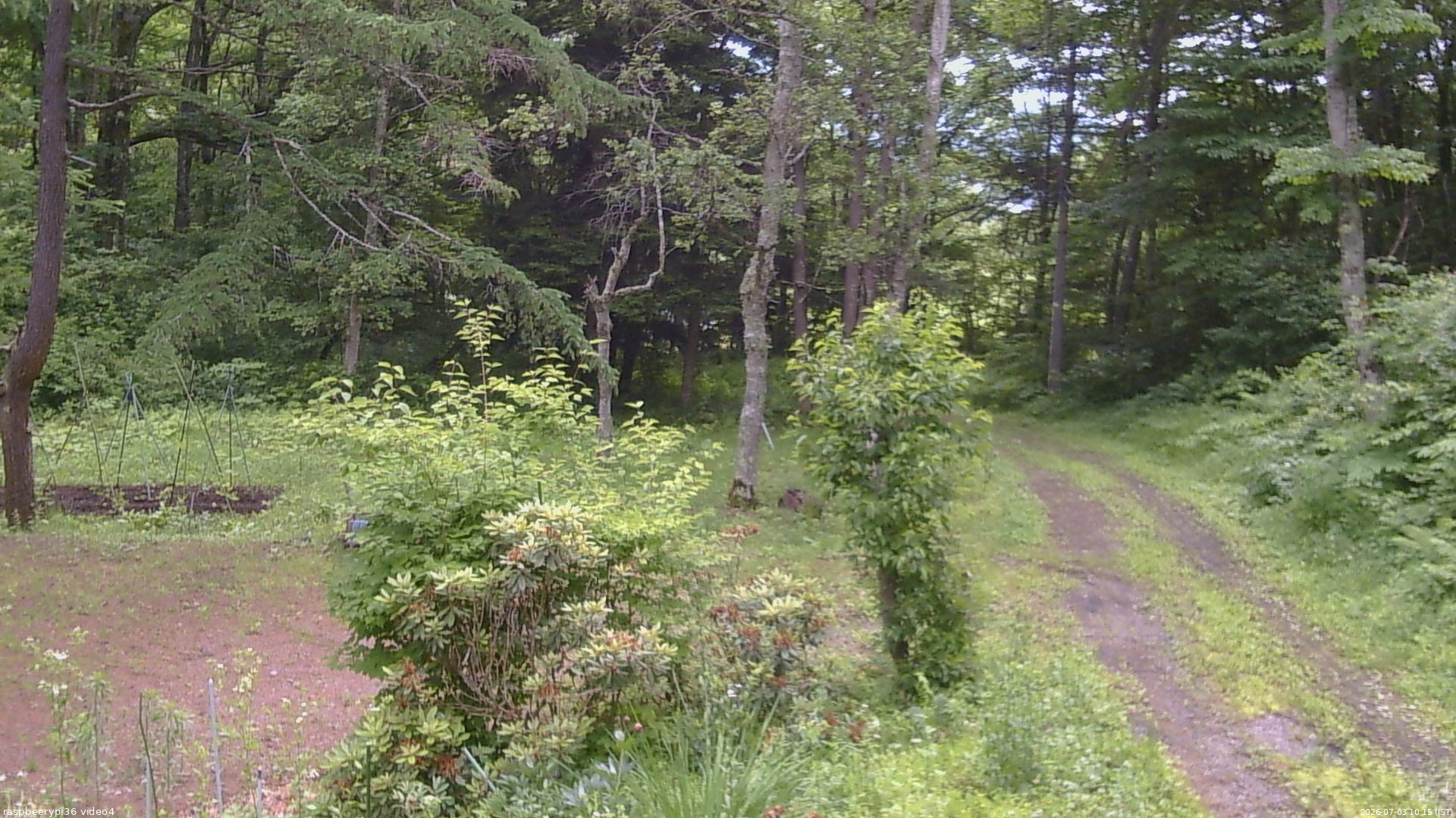 長野県菅平高原 ゆたか山荘 坂上 2026/07/03 10:15