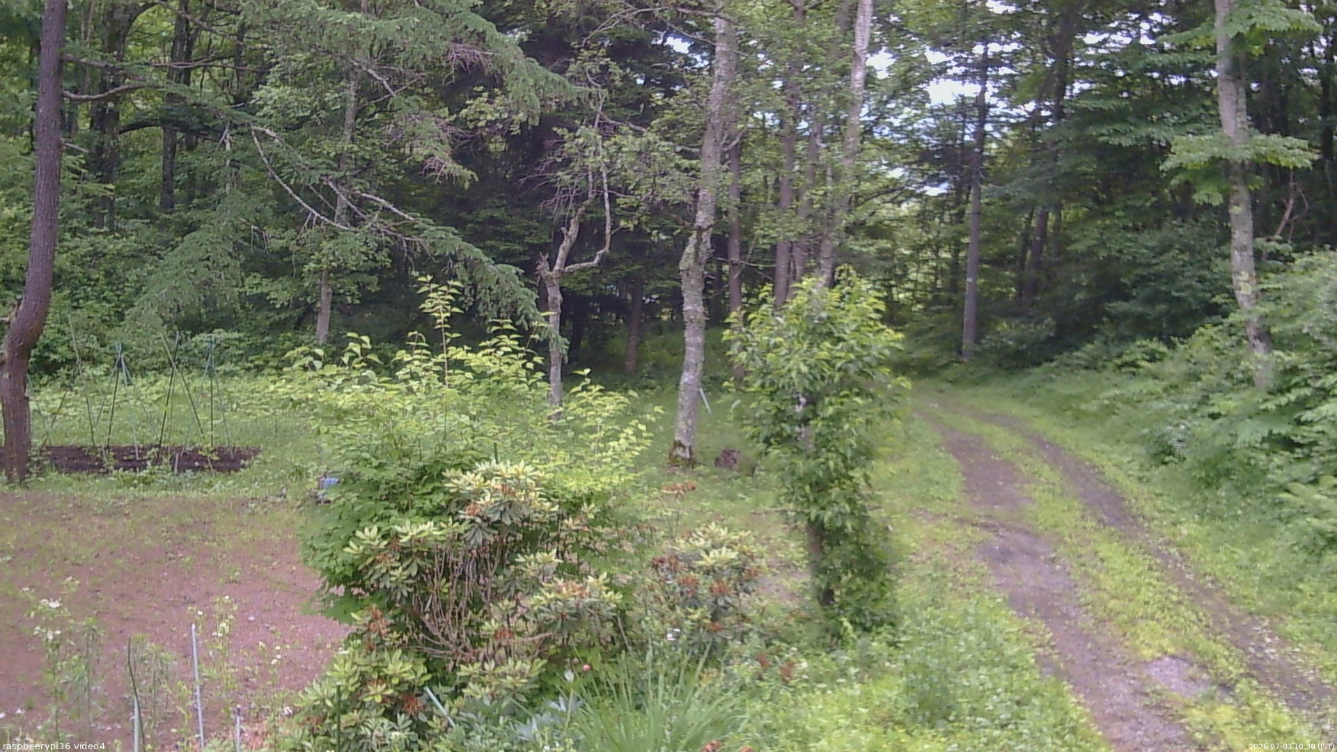 長野県菅平高原 ゆたか山荘 坂上 2026/07/03 10:30