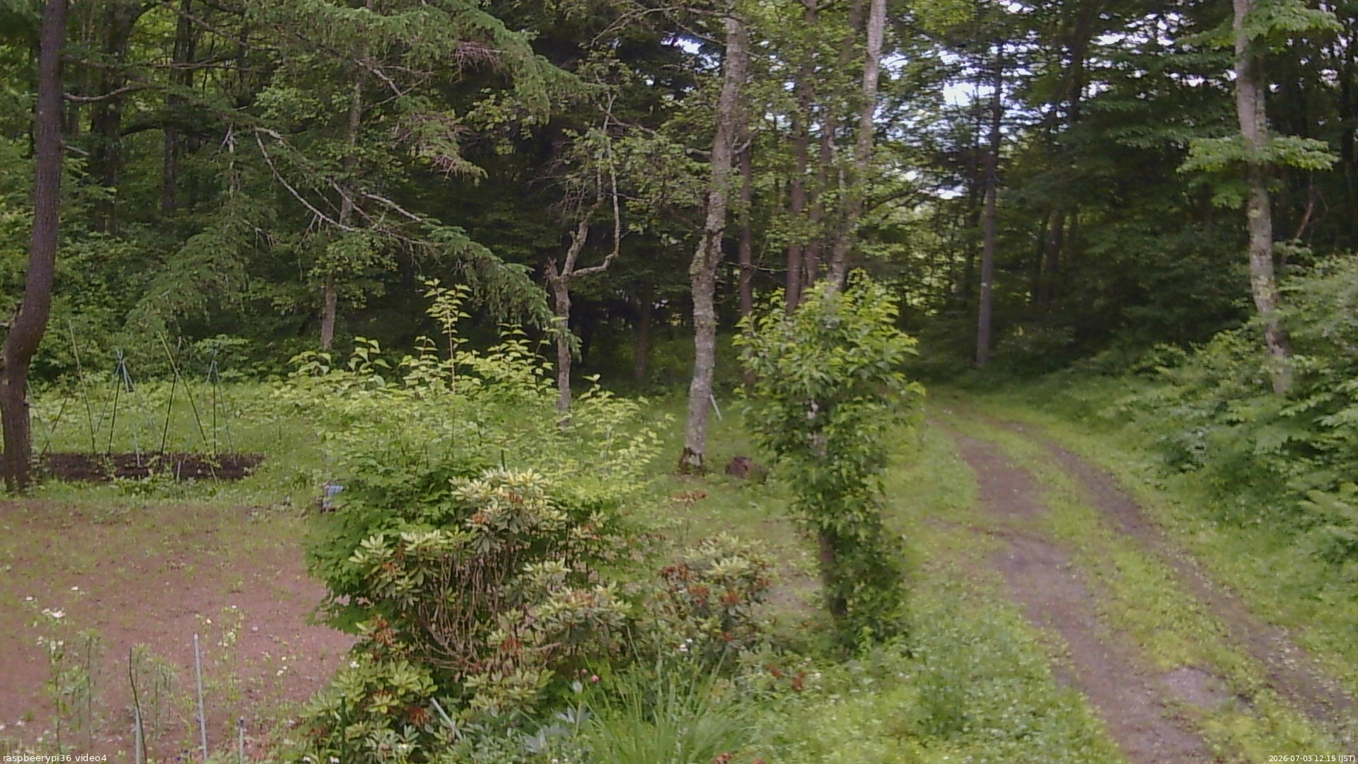 長野県菅平高原 ゆたか山荘 坂上 2026/07/03 12:15