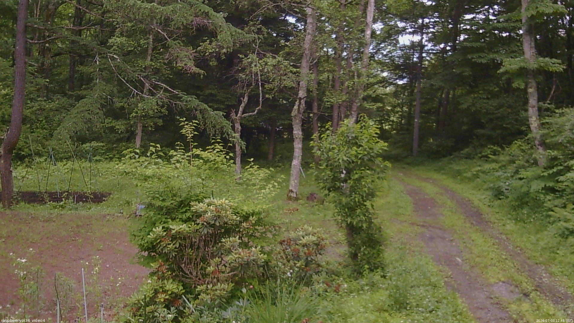 長野県菅平高原 ゆたか山荘 坂上 2026/07/03 12:45