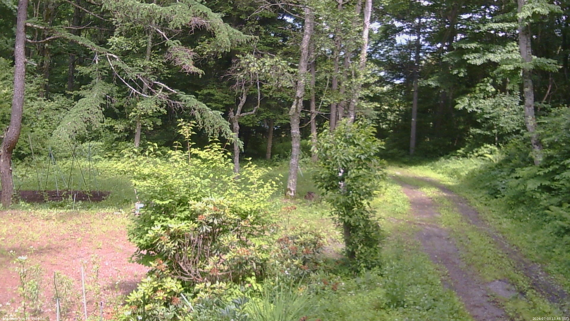 長野県菅平高原 ゆたか山荘 坂上 2026/07/03 13:45