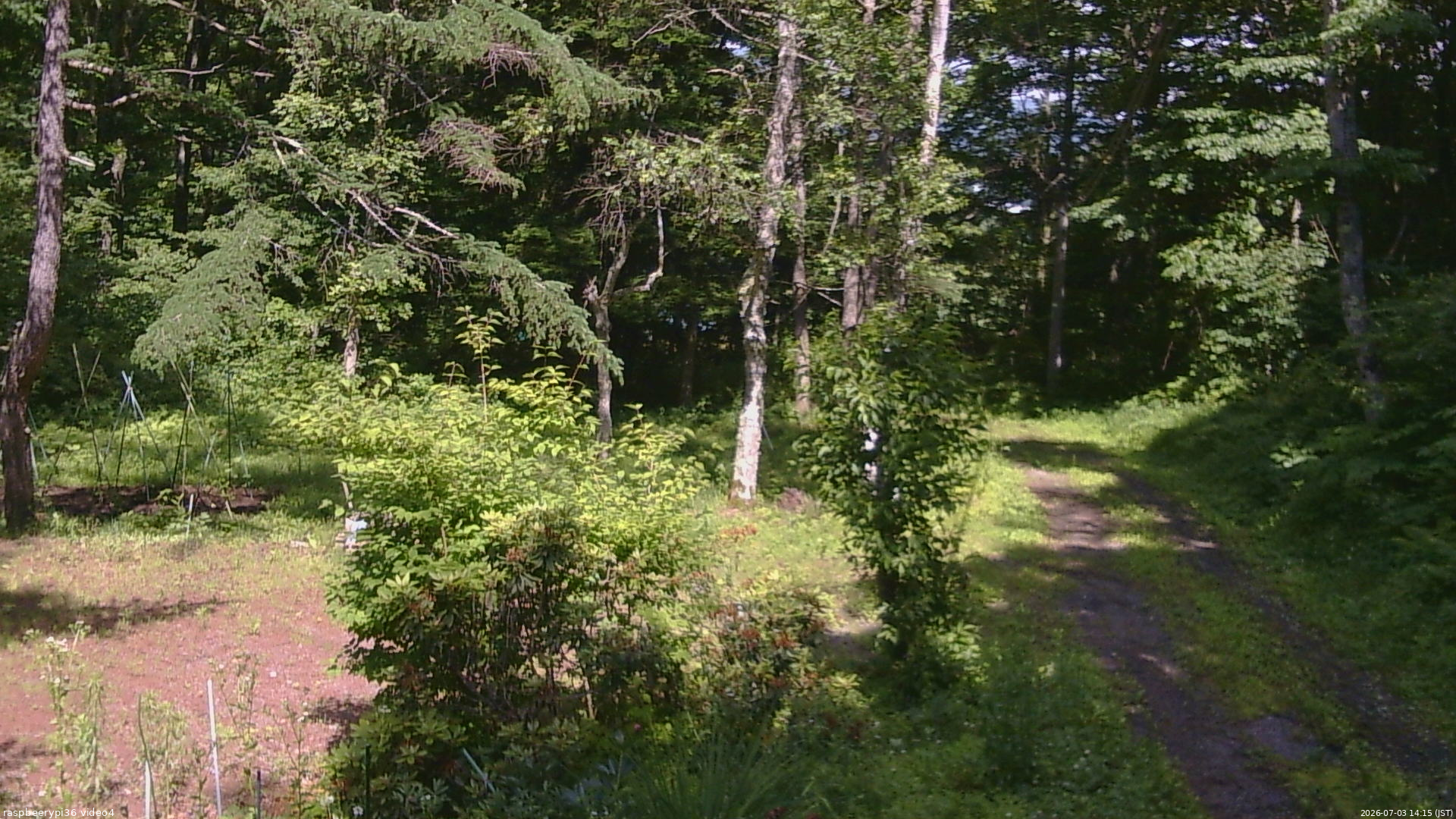 長野県菅平高原 ゆたか山荘 坂上 2026/07/03 14:15