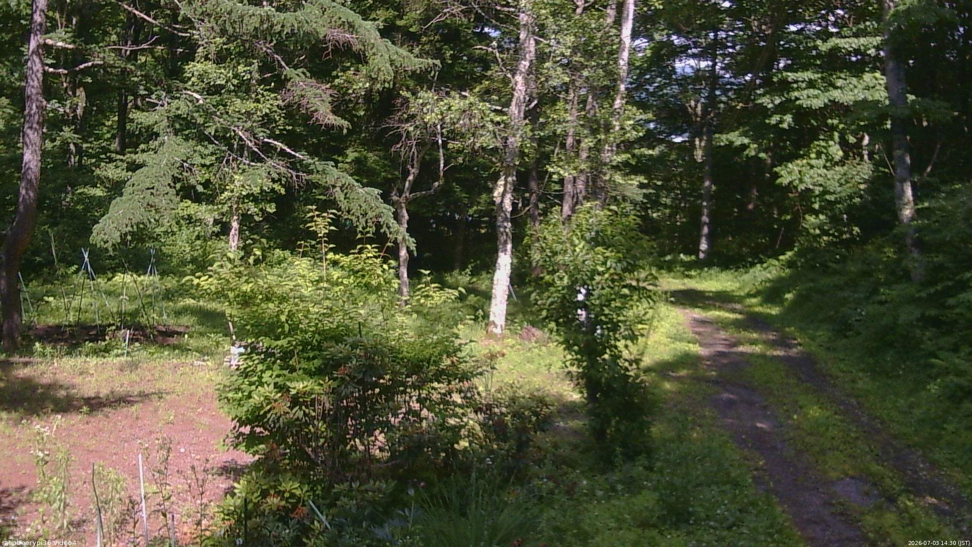 長野県菅平高原 ゆたか山荘 坂上 2026/07/03 14:30