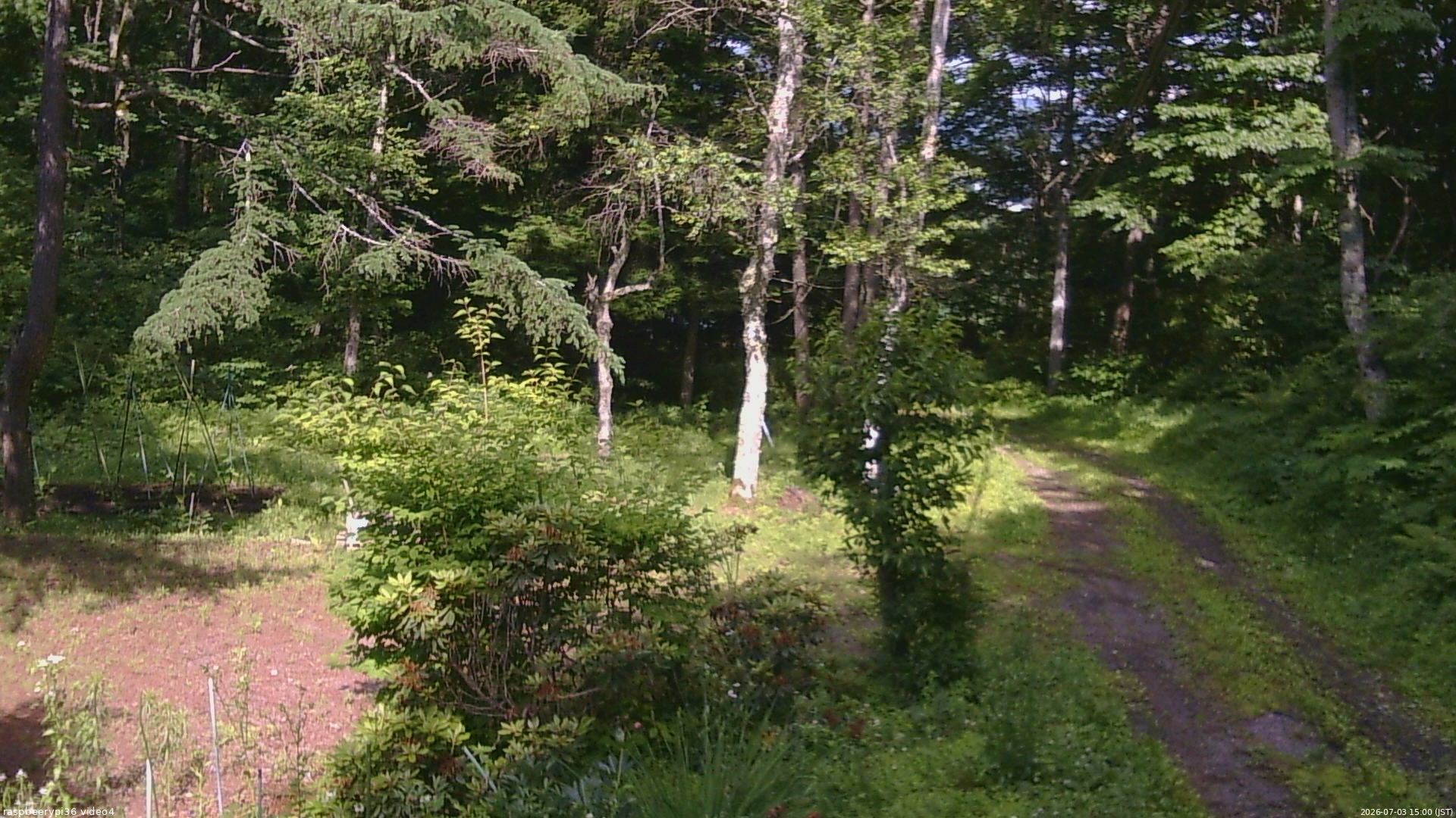 長野県菅平高原 ゆたか山荘 坂上 2026/07/03 15:00