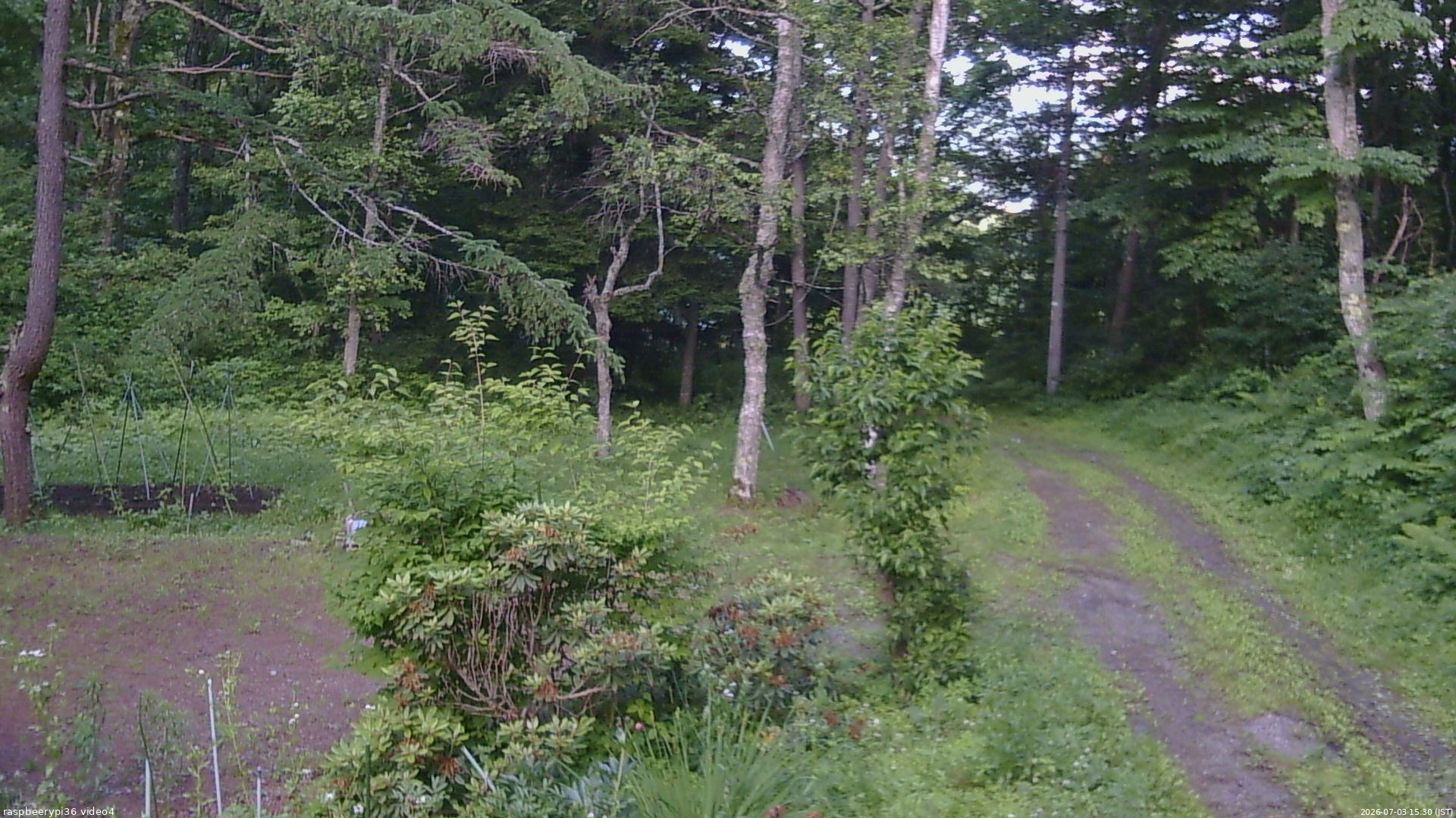 長野県菅平高原 ゆたか山荘 坂上 2026/07/03 15:30