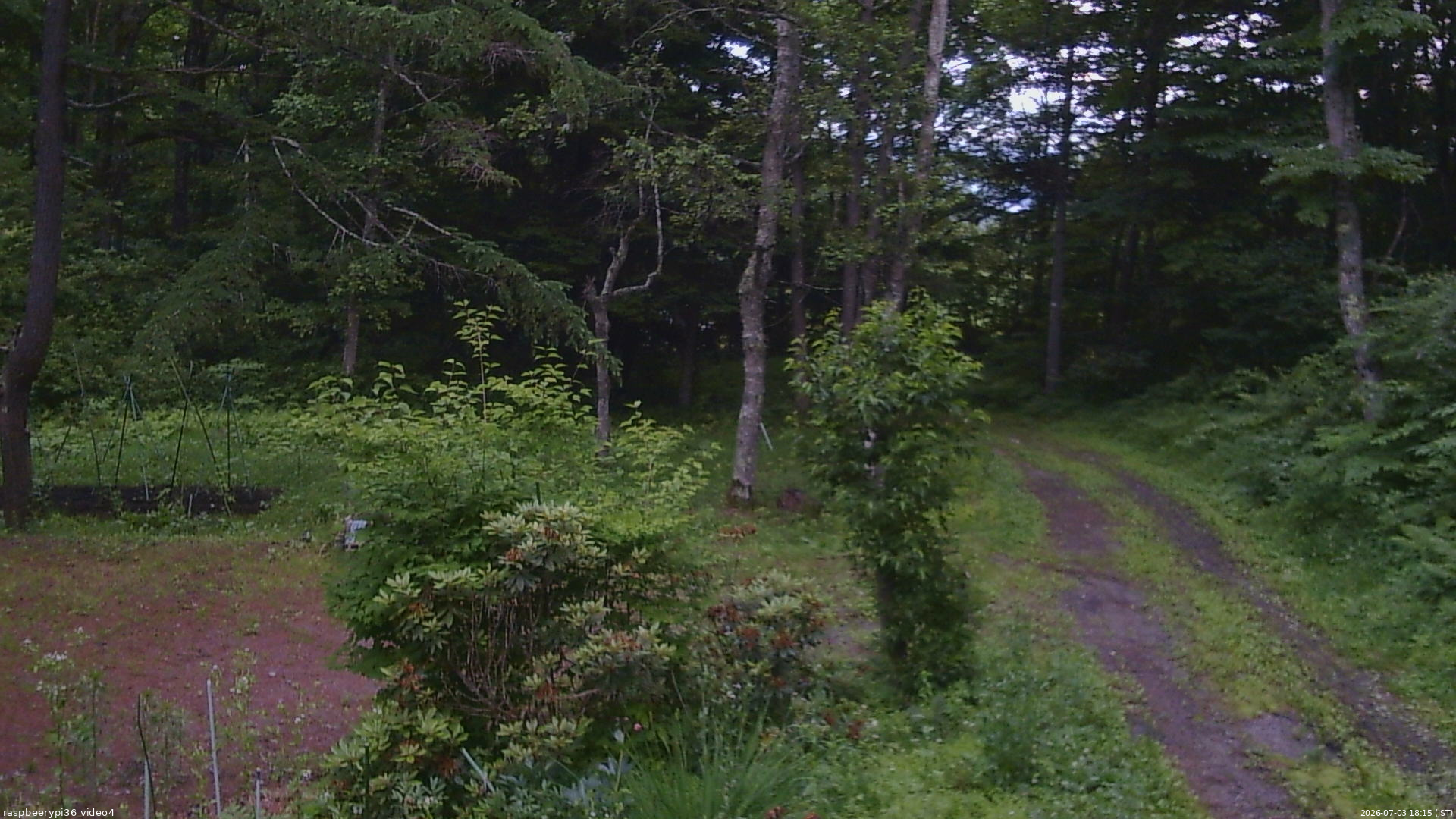長野県菅平高原 ゆたか山荘 坂上 2026/07/03 18:15