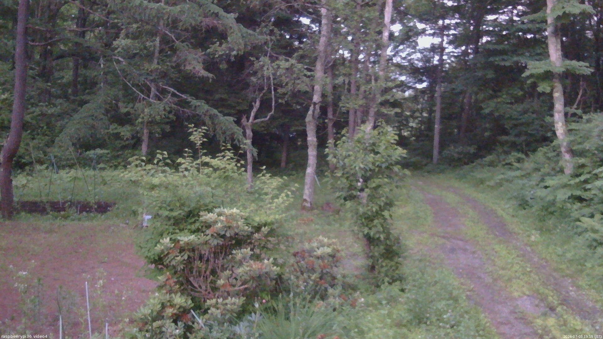 長野県菅平高原 ゆたか山荘 坂上 2026/07/03 19:15
