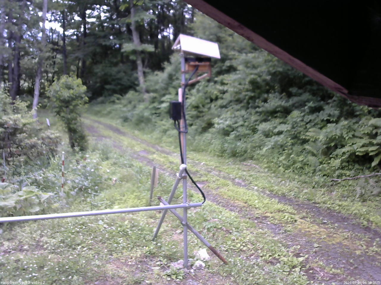 長野県菅平高原 ゆたか山荘 南側 2026/07/04 08:30